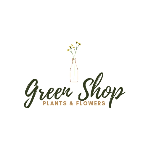 Green Plants Shop Logo Design_20250521_120236_0000
